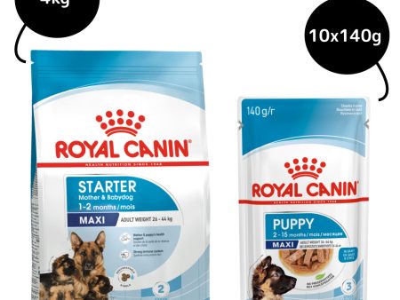 Royal Canin Maxi Starter Dry Food and Maxi Puppy Dog Wet Food Combo For Sale