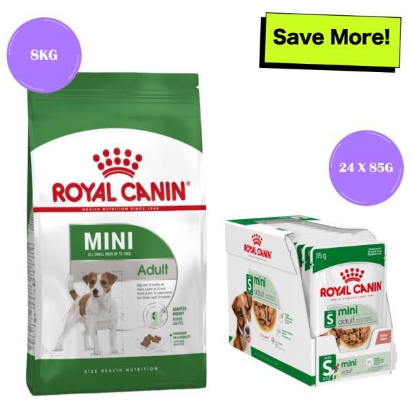 Royal Canin Mini Adult Dog Dry Food and Wet Food Combo Online