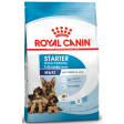 Royal Canin Maxi Starter Dry Food and Maxi Puppy Dog Wet Food Combo For Sale