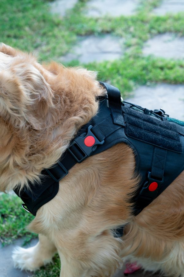 Tails to Tell Tactical Harness with Lock Buckle for Dogs (Black) Online Hot Sale