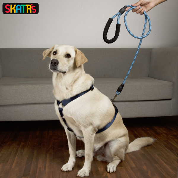 Skatrs Premium H Harness for Dogs (Midnight Blue) For Sale