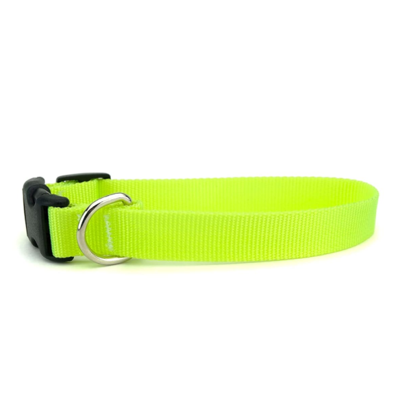 Skatrs Adjustable Collar with Bell for Cats & Kittens Lime Green and Black Combo For Discount