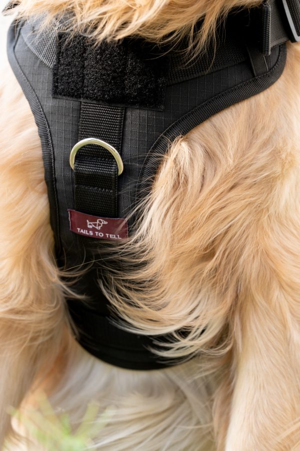 Tails to Tell Tactical Harness with Lock Buckle for Dogs (Black) Online Hot Sale