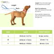 Tails to Tell Polyester Collar for Dogs (Yellow) Sale