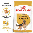 Royal Canin German Shepherd 5+Dry Food and Maxi Adult Dog Wet Food Combo Discount