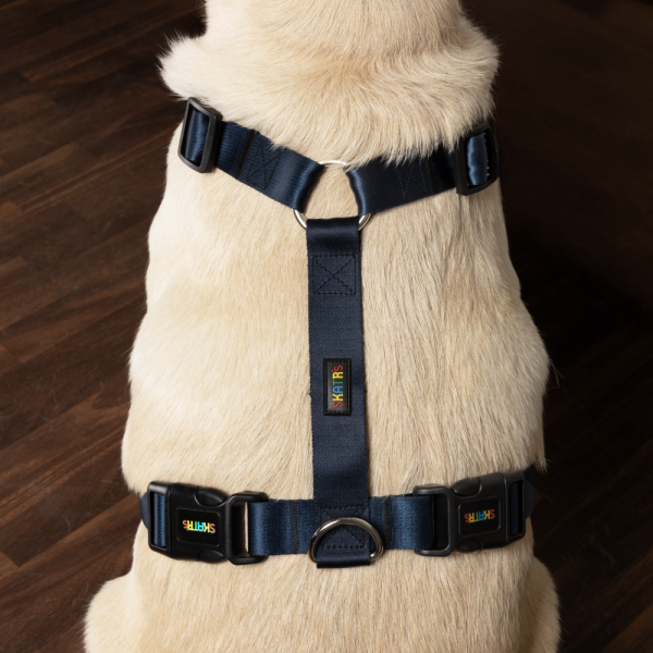 Skatrs Premium H Harness for Dogs (Midnight Blue) For Sale