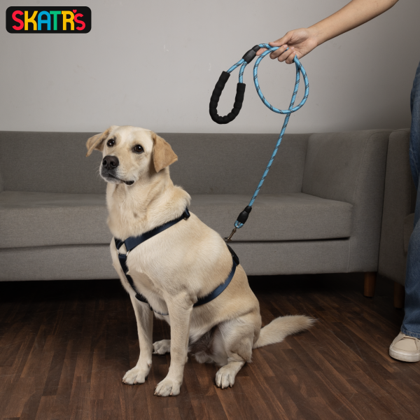 Skatrs Reflective Nylon Rope Leash for Dogs (Sky Blue) For Discount