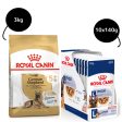 Royal Canin German Shepherd 5+Dry Food and Maxi Adult Dog Wet Food Combo Discount