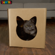 Skatrs Paw and Whiskers Cat House with 2g Premium Catnip Free on Sale