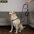 Skatrs Reflective Nylon Rope Leash for Dogs (Purple) For Discount