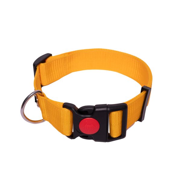 Tails to Tell Polyester Collar for Dogs (Yellow) Sale