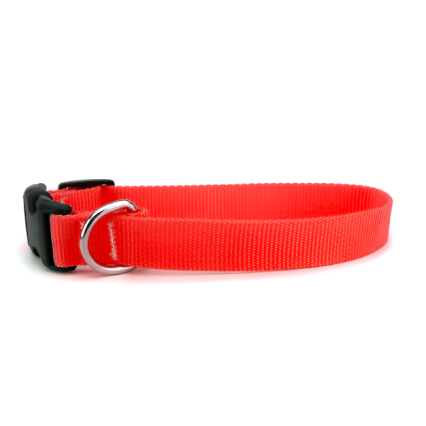 Skatrs Adjustable Collar with Bell for Cats & Kittens Lime Green and Red Combo Online Hot Sale