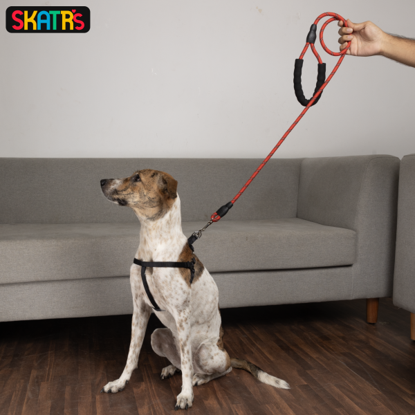 Skatrs Reflective Nylon Rope Leash for Dogs (Red) Online Sale