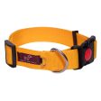 Tails to Tell Polyester Collar for Dogs (Yellow) Sale