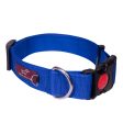 Tails to Tell Polyester Collar for Dogs (Blue) Cheap