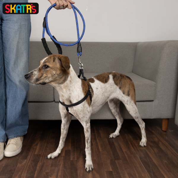 Skatrs Reflective Nylon Rope Leash for Dogs (Blue) Online Hot Sale