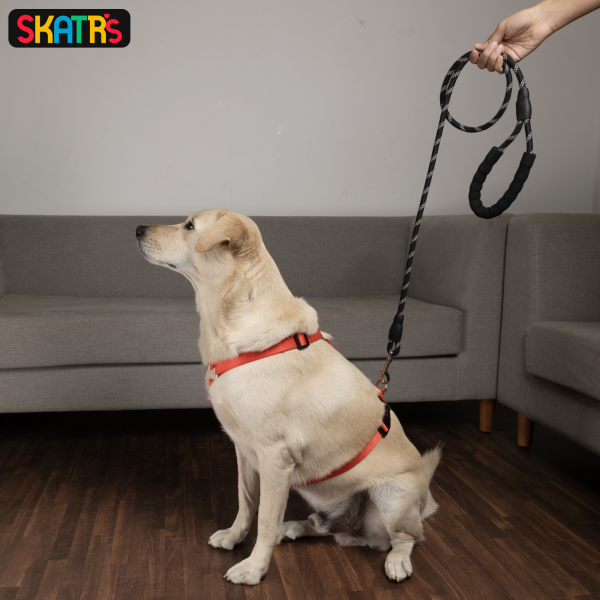 Skatrs Reflective Nylon Rope Leash for Dogs (Black White) Online