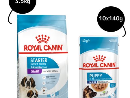 Royal Canin Giant Breed Dog and Puppies Starter Dry Food and Maxi Puppy Dog Wet Food Combo Online now