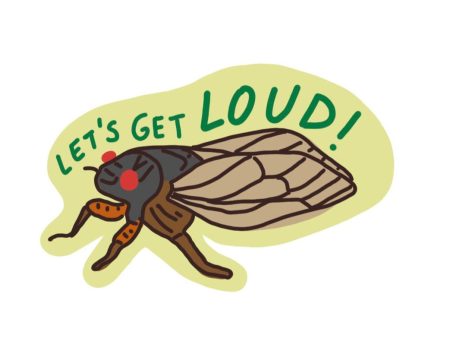 Cicada Sticker Sale