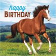 Horse & Pony Happy Birthday Napkins - Lunch 16 Pkt Fashion