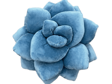 Lil  Pop Succulent® - Smokey Blue For Discount