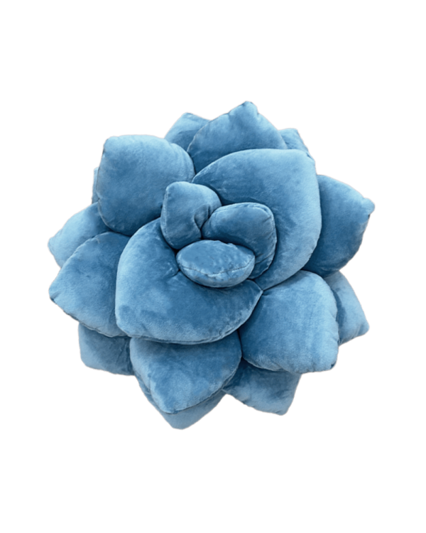 Lil  Pop Succulent® - Smokey Blue For Discount