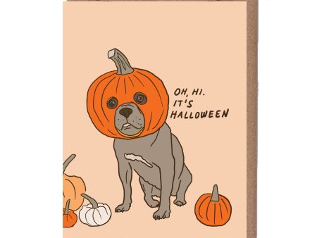 Pumpkin Dog Halloween Card on Sale