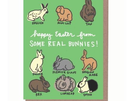 Real Bunnies Easter Card Hot on Sale