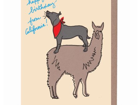 California Llama & Dog Birthday Card Online now