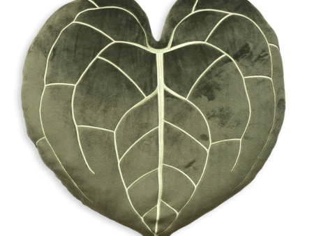 Anthurium Clarinervium - Khaki Online Hot Sale