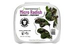 Radish Microgreens Sale