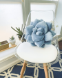 Lil  Pop Succulent® - Smokey Blue For Discount