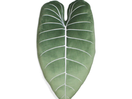 Philodendron Melanochrysum - Moody Green For Cheap