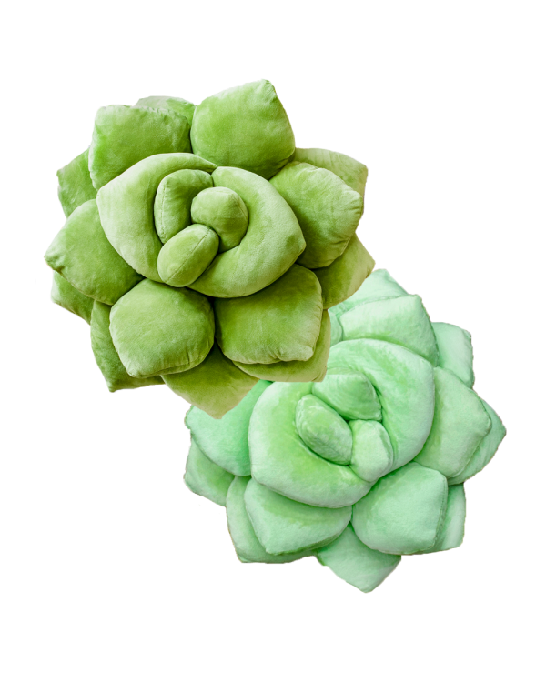 Lil  Pop Green Succulent® Pillows Set Hot on Sale