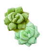 Lil  Pop Green Succulent® Pillows Set Hot on Sale