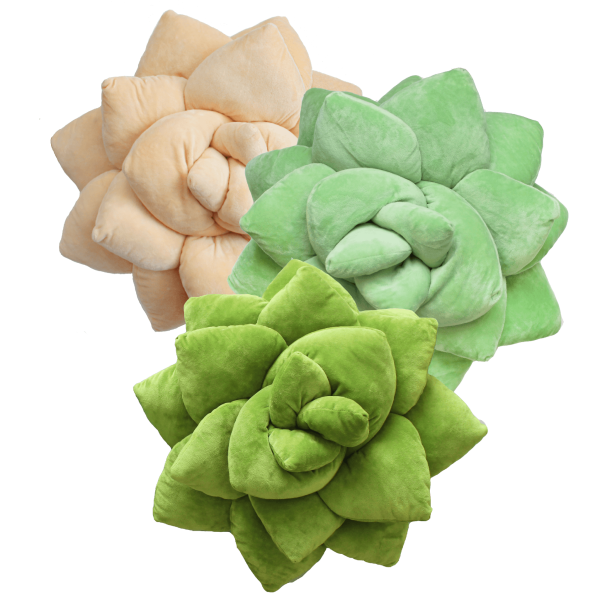 Big Pop Trio Succulent® Bundle Fashion